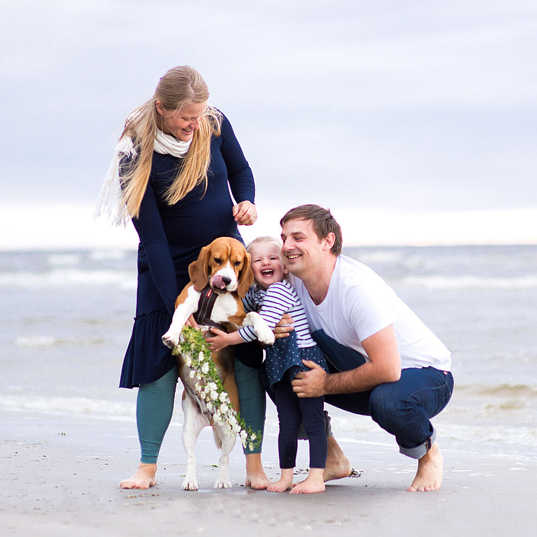 Finanziamenti Online: Prestiti e Cessione del Quinto a Pavia