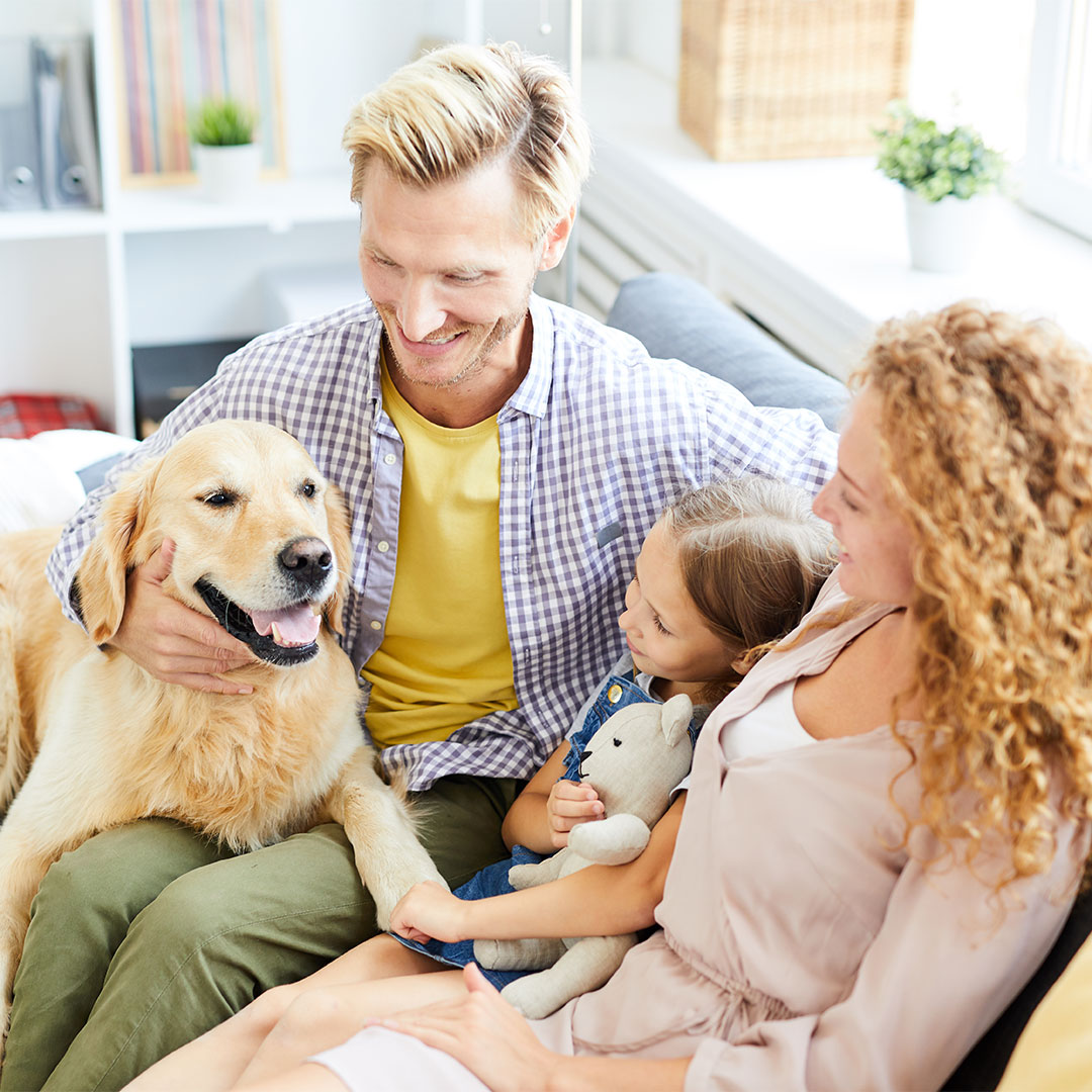 Finanziamenti Online - Prestiti, Cessione del Quinto e Mutui a Ravenna